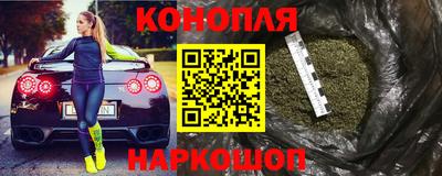 шишки Будённовск