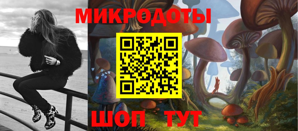 Галлюциногенные грибы Psilocybe Челябинск